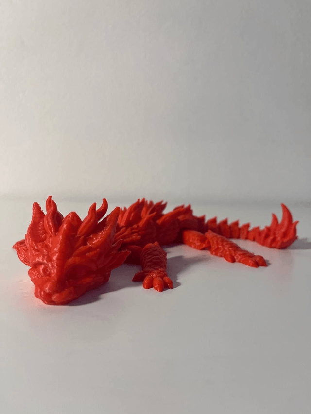 Baby Dragon🐉