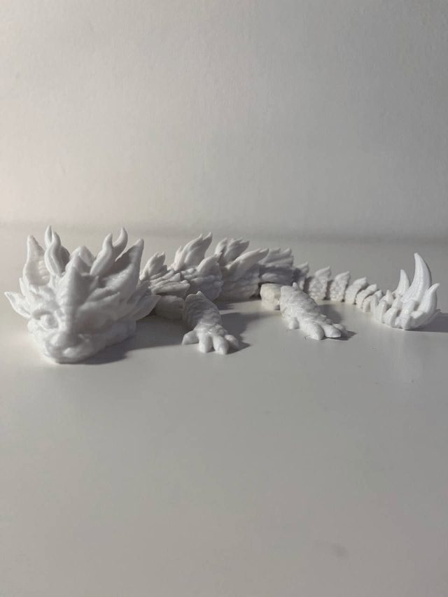 Baby Dragon🐉