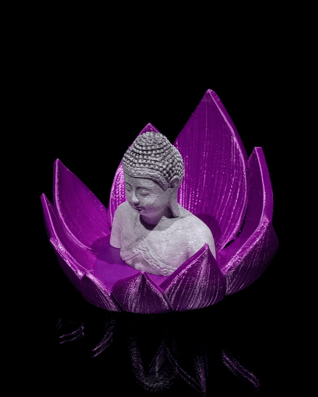 Nirvana Lotus 🪷 (Brûleur à refoulement)