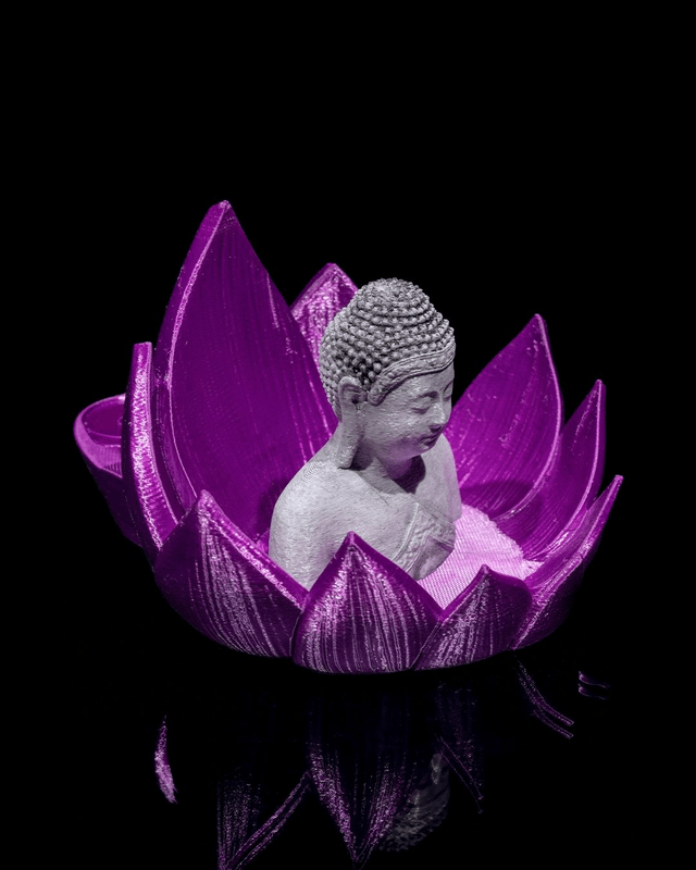 Nirvana Lotus 🪷 (Brûleur à refoulement)