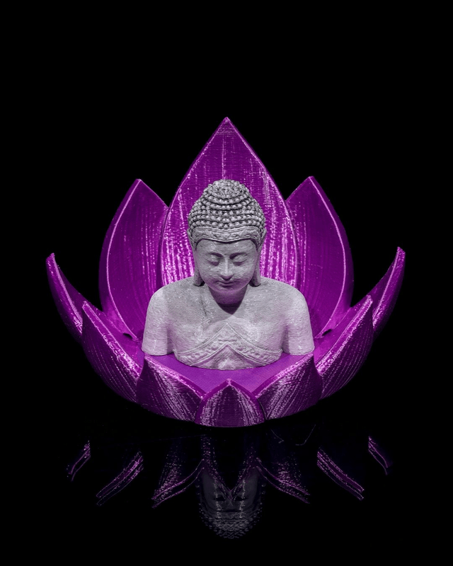 Nirvana Lotus 🪷 (Brûleur à refoulement)
