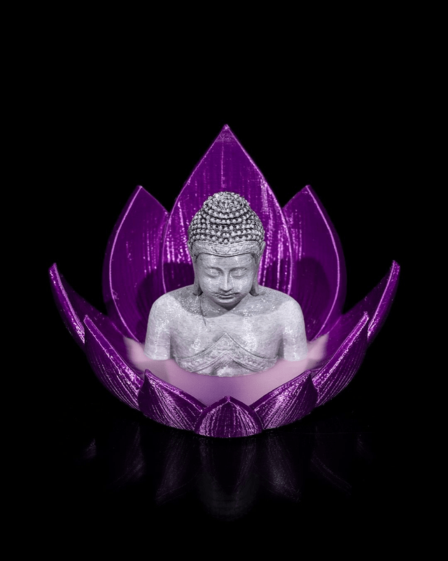 Nirvana Lotus 🪷 (Brûleur à refoulement)