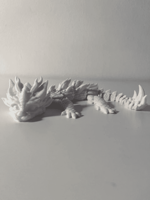 Baby Dragon🐉